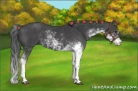 Horse Color:Black Sabino 