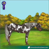 Horse Color:White Spotted Liver Chestnut Mushroom 