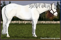 Horse Color:Cremello Dun Tobiano 