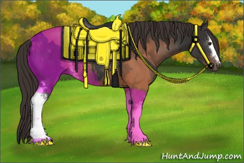 Horse Color:White Spotted Liver Chestnut Sabino Rabicano 