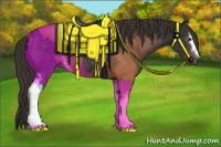 Horse Color:White Spotted Liver Chestnut Sabino Rabicano