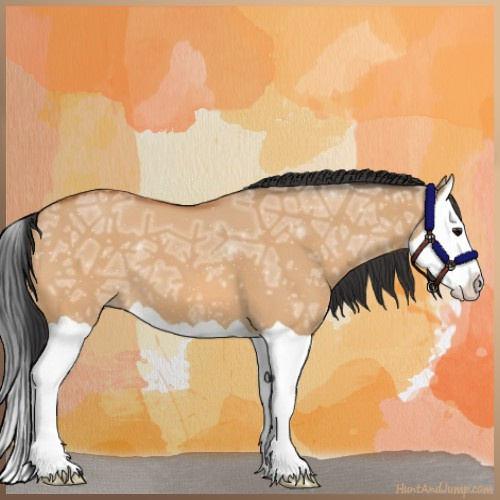 Horse Color:Bay Ice Dun Splash 