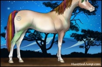 Horse Color:Painted Buckskin Pearl Onyx 