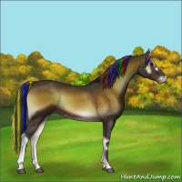 Horse Color:Painted Brown Onyx 