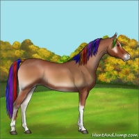 Horse Color:Painted Brown Onyx 