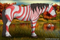 Horse Color:Smoky Black 