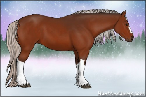 Horse Color:Silver Brown