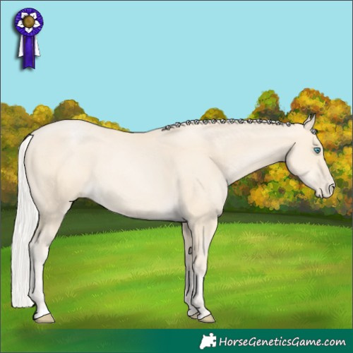 Horse Color:Silver Smoky Black Pearl 