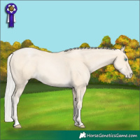 Horse Color:Silver Smoky Black Pearl 