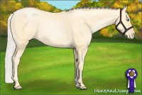 Horse Color:Silver Smoky Black Pearl 