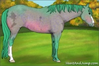 Horse Color:Watercolor Brown Ice 