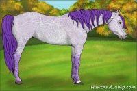 Horse Color:Watercolor Bay Ice 