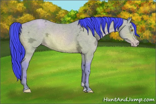 Horse Color:Watercolor Amber Champagne Ice Rabicano