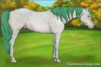 Horse Color:Watercolor Sable Cream Champagne Ice 