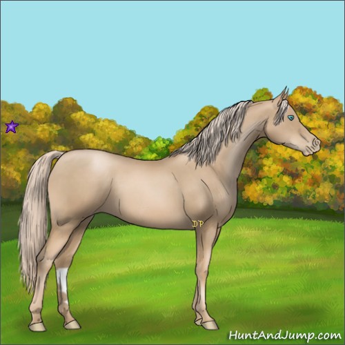 Horse Color:Chocolate Palomino Pearl