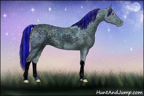 Horse Color:ERROR: UNKNOWN ANOMALY