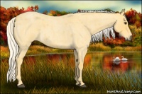 Horse Color:Palomino Roan 