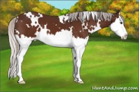Horse Color:White Spotted Silver Brown Splash 