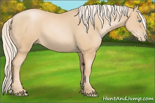 Horse Color:Palomino Pearl 