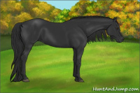 Horse Color:Gray Liver Chestnut 