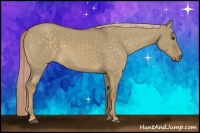 Horse Color:Chocolate Palomino Dun