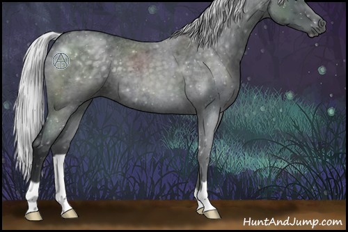 Horse Color:Silver Blue Chinchilla Roan 