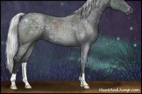 Horse Color:Silver Blue Chinchilla Roan 