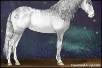 Horse Color:Silver Blue Onyx Chinchilla Ice Appaloosa Rabicano