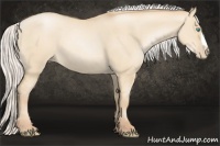 Horse Color:Silver Smoky Grullo Pearl 