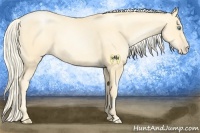 Horse Color:Palomino Pearl 