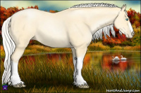 Horse Color:Silver Buckskin Pearl 
