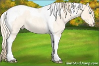 Horse Color:Perlino Roan Tobiano 
