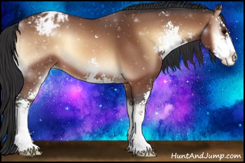 Horse Color:Bay Roan Onyx Sabino Appaloosa 