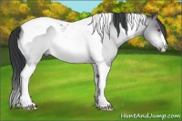 Horse Color:Bay Chinchilla Tobiano
