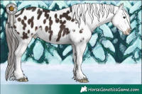 Horse Color:Liver Chestnut Sabino Blanket 