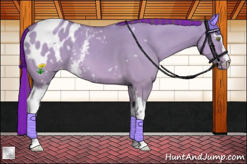 Horse Color:Platinum Painted White Spotted Amber Champagne Dun Blanket