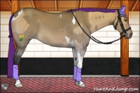 Horse Color:Platinum Painted Buckskin Dun Tobiano  and Platinum Painted Bay Dun Tobiano Rabicano 