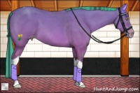 Horse Color:Platinum Painted Amber Champagne Tobiano 