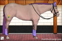 Horse Color:Platinum Painted Amber Cream Champagne Sabino