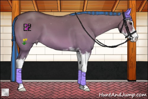 Horse Color:Platinum Painted Bay Dun Sabino Varnish 