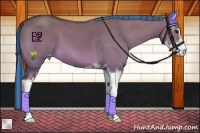 Horse Color:Platinum Painted Bay Dun Sabino Varnish 