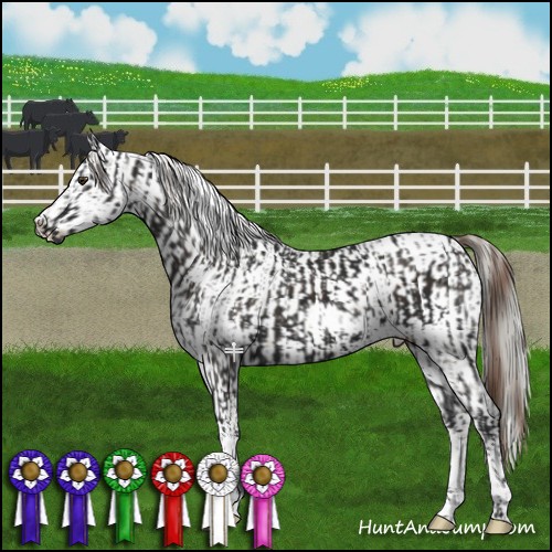 Horse Color:Liver Chestnut Tobiano  and Liver Chestnut Mushroom Snowcap 