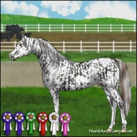 Horse Color:Liver Chestnut Tobiano  and Liver Chestnut Mushroom Snowcap 