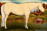 Horse Color:Palomino 