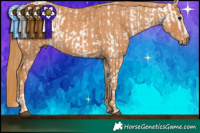 Horse Color:Brown Dun Near Leopard Rabicano Brindle