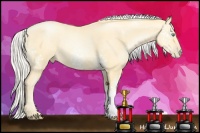 Horse Color:White Spotted Silver Buckskin Pearl 