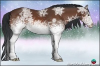 Horse Color:White Spotted Bay Ice