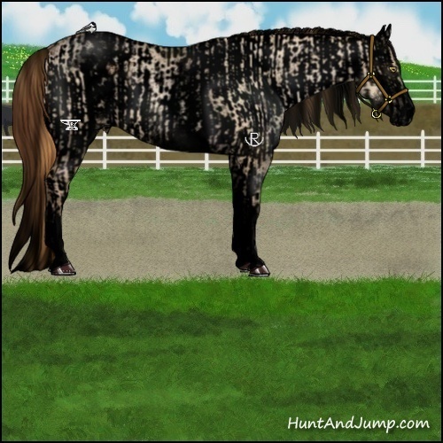 Horse Color:Void White Spotted Red Dun Roan Pearl Rabicano  and Void White Spotted Red Dun Tobiano Blanket Rabicano 