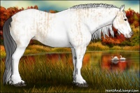 Horse Color:White Spotted Bay Dun Rabicano  and White Spotted Bay Dun Rabicano 