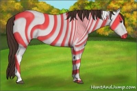 Horse Color:Liver Chestnut Tobiano 